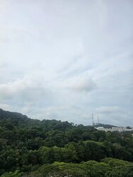 The Skywoods (D23), Condominium #456304211